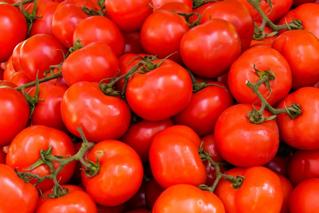 tomatoes 