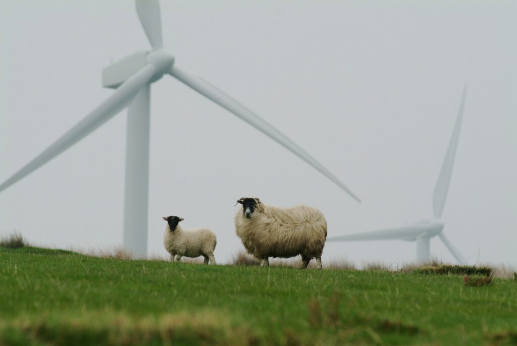 High wind area. image source-pixabay