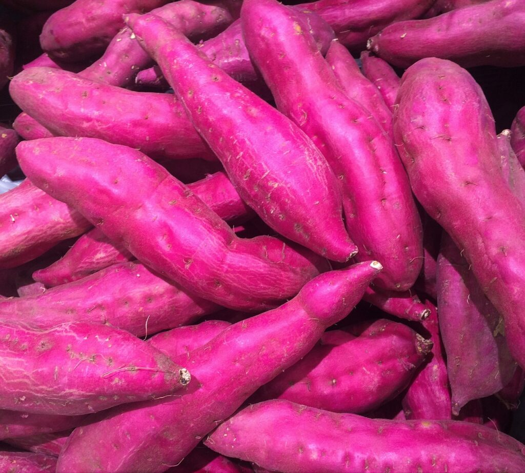 sweet potato. image source pixabay