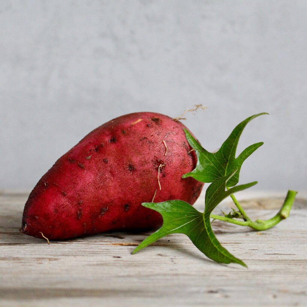 sweet potato. image source pixabay